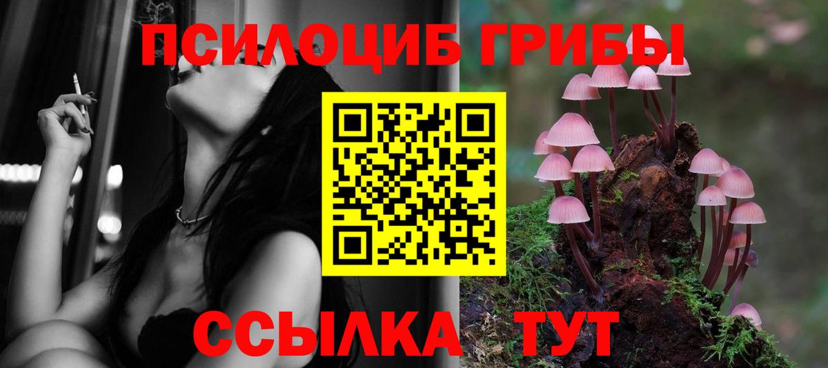 где продают наркотики  Псилоцибиновые грибы Magic Shrooms  Туймазы  Вход с VPN  Псилоцибиновые грибы прущие грибы 